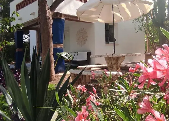 Casita 2